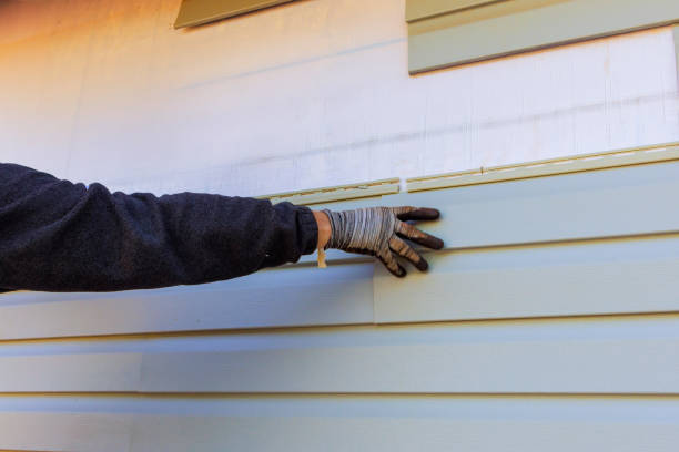 Best Historical Building Siding Restoration  in Auburn, IL